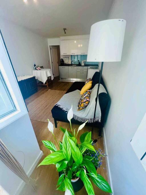 Graca Home Lisboa 外观 照片