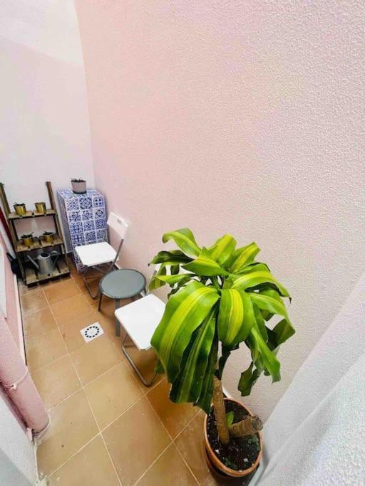 Graca Home Lisboa 外观 照片